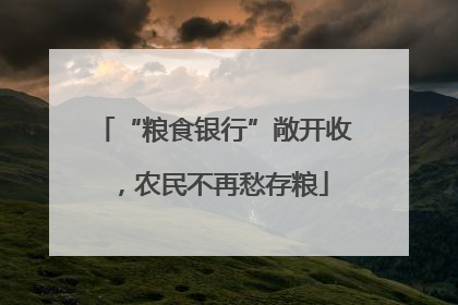 “粮食银行”敞开收，农民不再愁存粮
